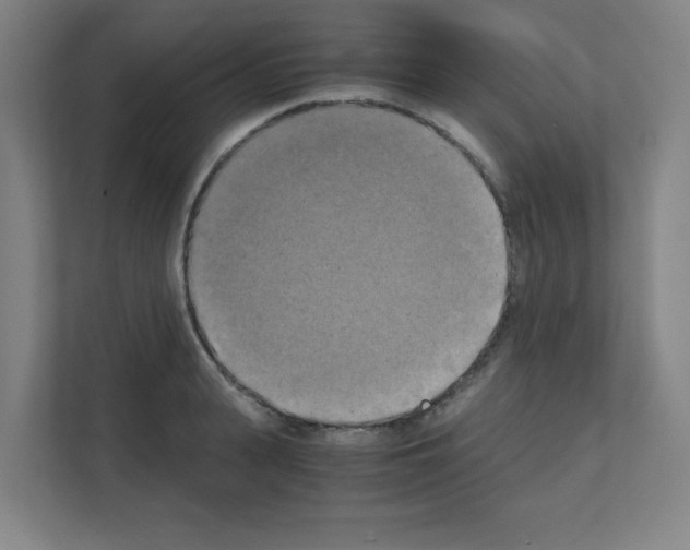 X0000111150943200908111131