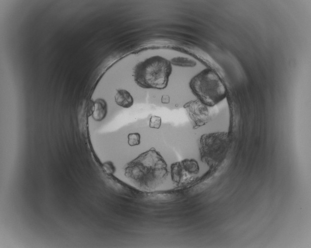 X0000111150945200908111131