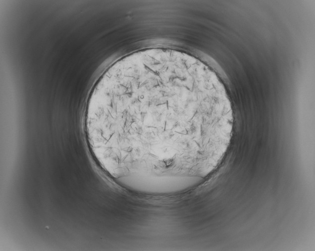 X0000111150946200908111131