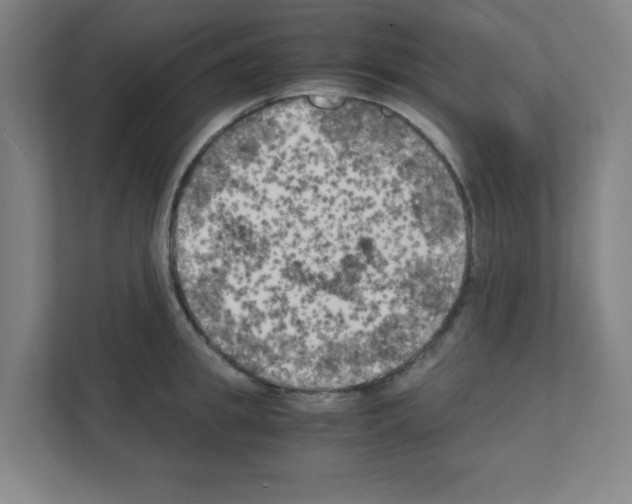 X0000111150949200908111131