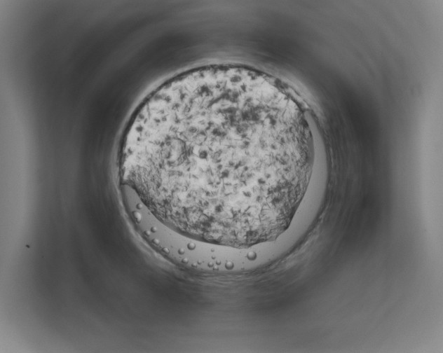 X0000111150950200908111131