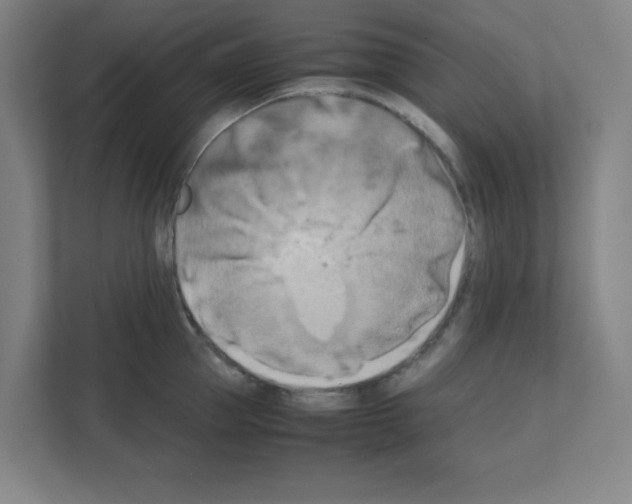 X0000111150953200908111131