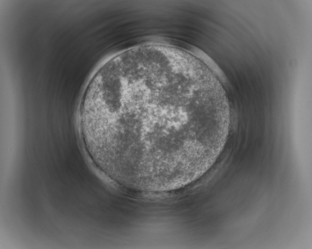 X0000111150955200908111131