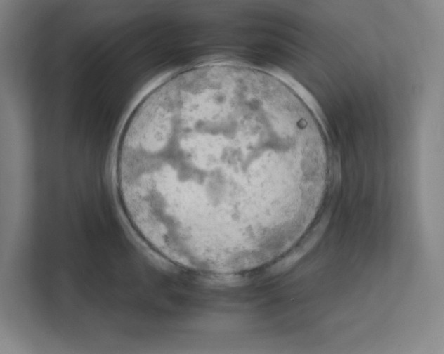 X0000111150957200908111131