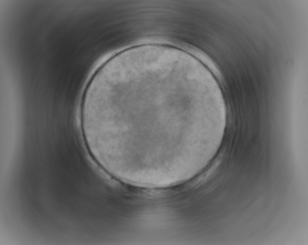 X0000111150958200908111131