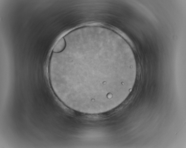 X0000111150959200908111131