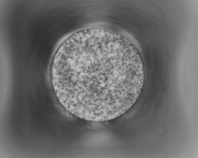 X0000111150960200908111131