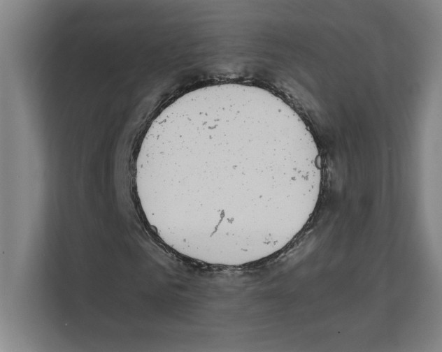 X0000111150961200908111131