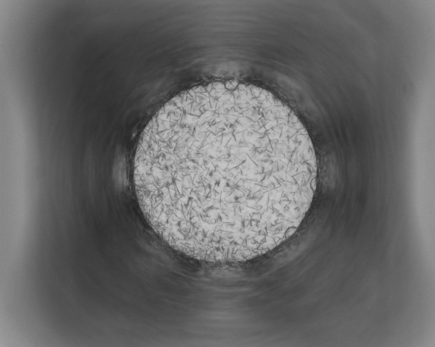 X0000111150962200908111131