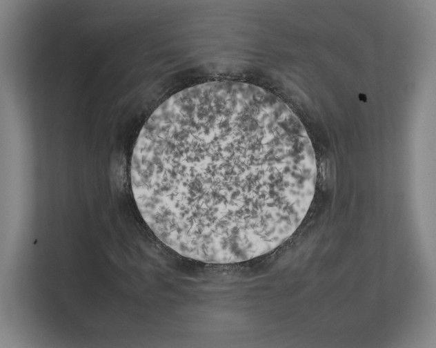 X0000111150963200908111131