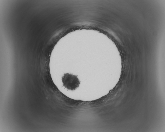 X0000111150967200908111130