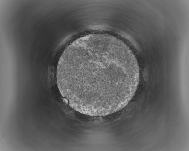 X0000111150968200908111130