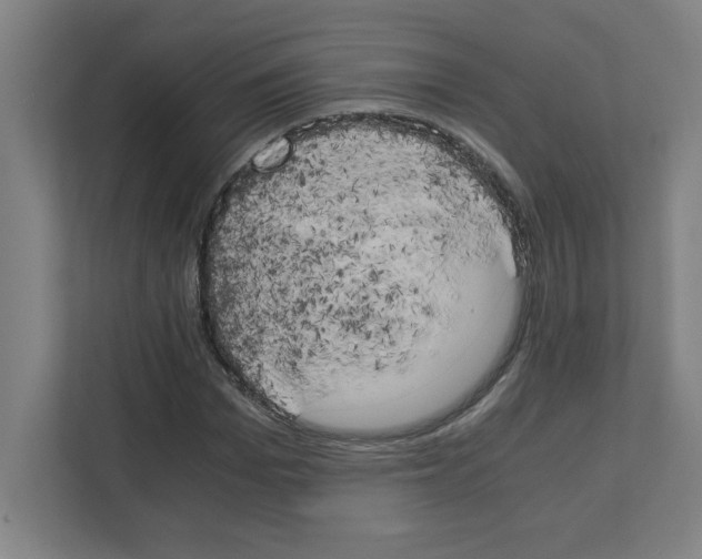 X0000111150969200908111130