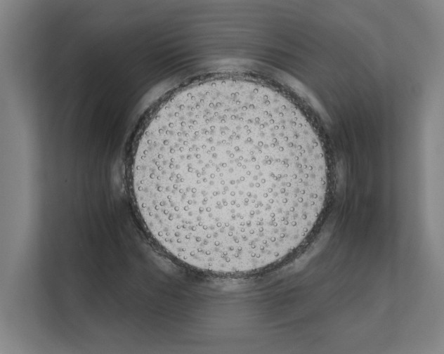 X0000111150970200908111130