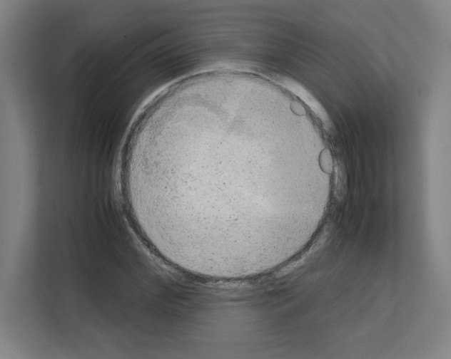 X0000111150972200908111130