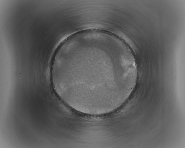 X0000111150975200908111130