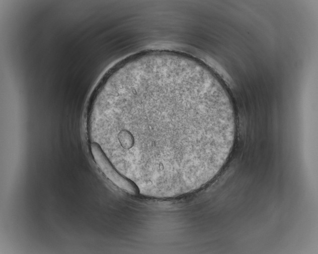 X0000111150976200908111130