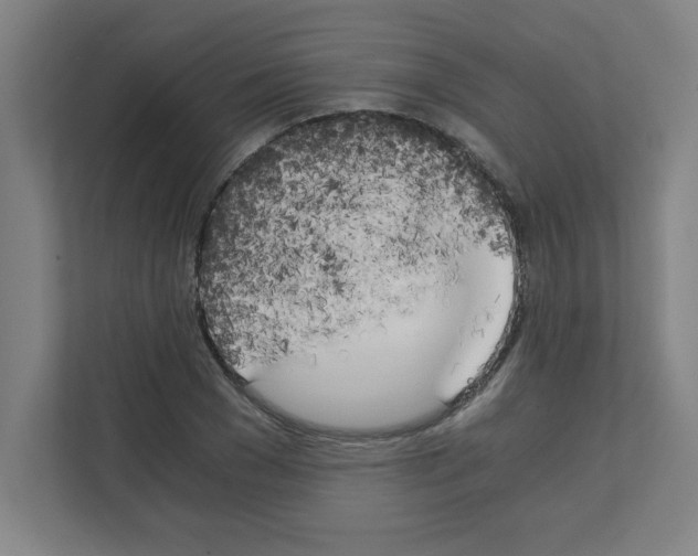 X0000111150977200908111130