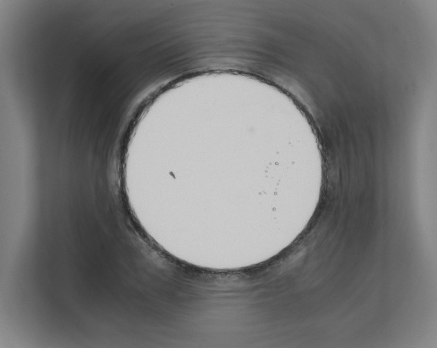 X0000111150979200908111130