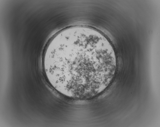 X0000111150982200908111130