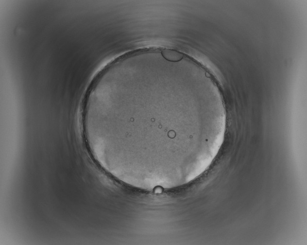 X0000111150983200908111130