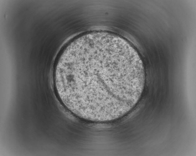 X0000111150984200908111130