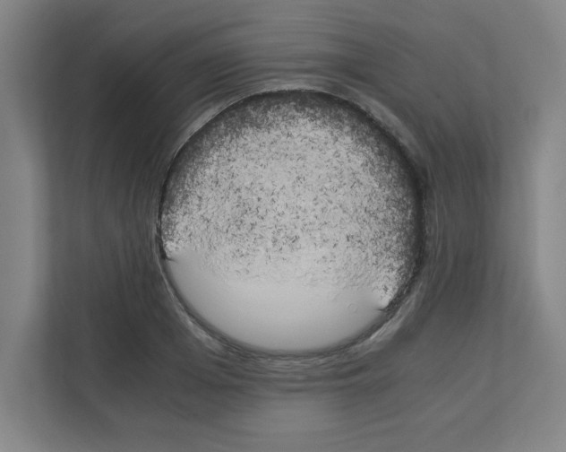 X0000111150985200908111130