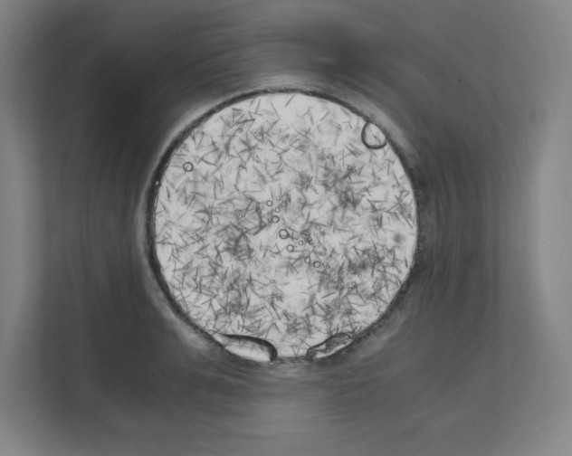 X0000111150991200908111130