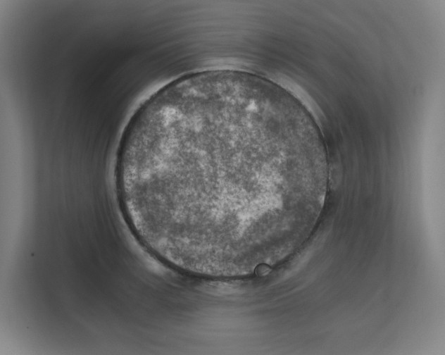 X0000111150995200908111130