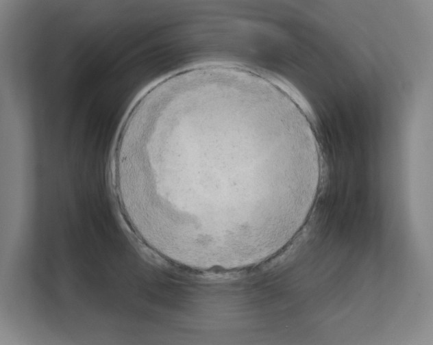 X0000111150996200908111130