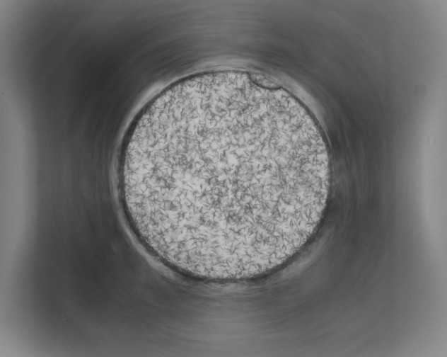 X0000111150997200908111130