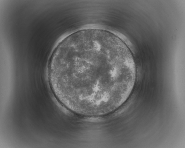 X0000111150998200908111130