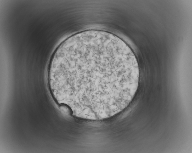 X0000111150999200908111130