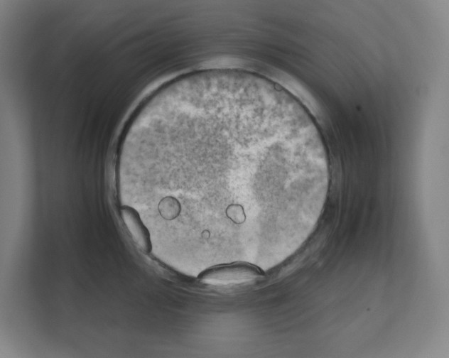 X0000111151000200908111130