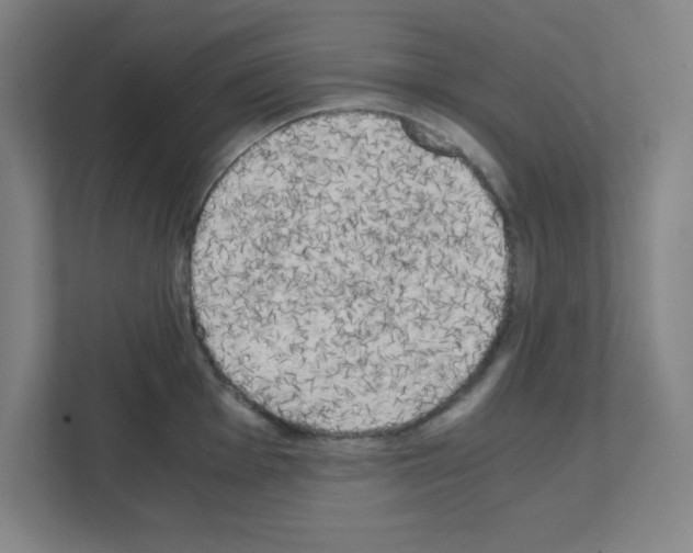 X0000111151001200908111130