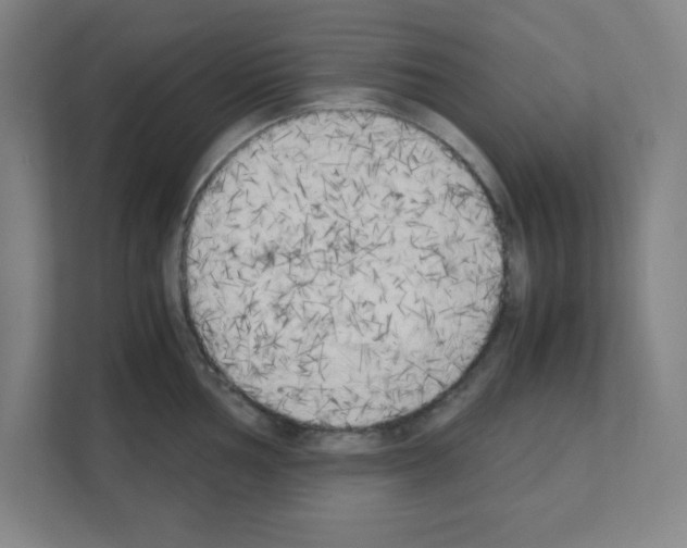 X0000111151002200908111130