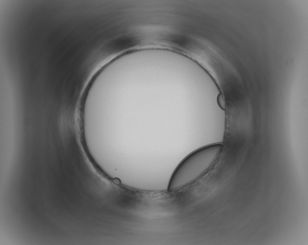 X0000111151003200908111130