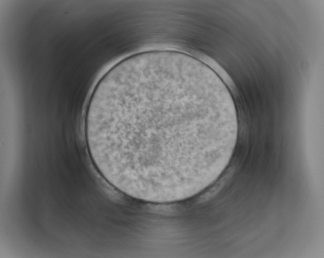 X0000111151004200908111130