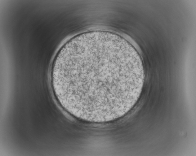 X0000111151005200908111130