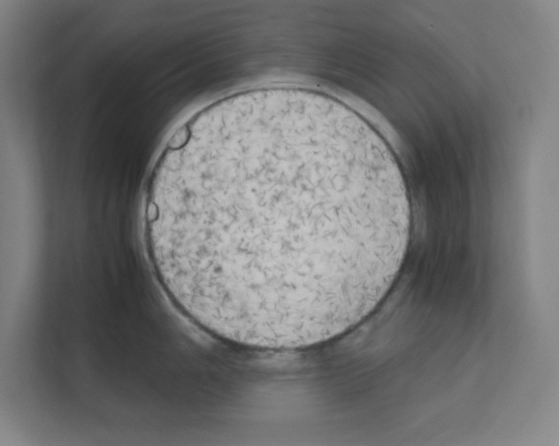 X0000111151006200908111130