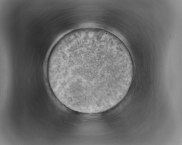 X0000111151008200908111130