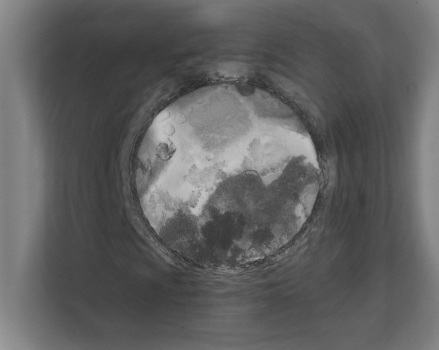 X0000111151009200908111129