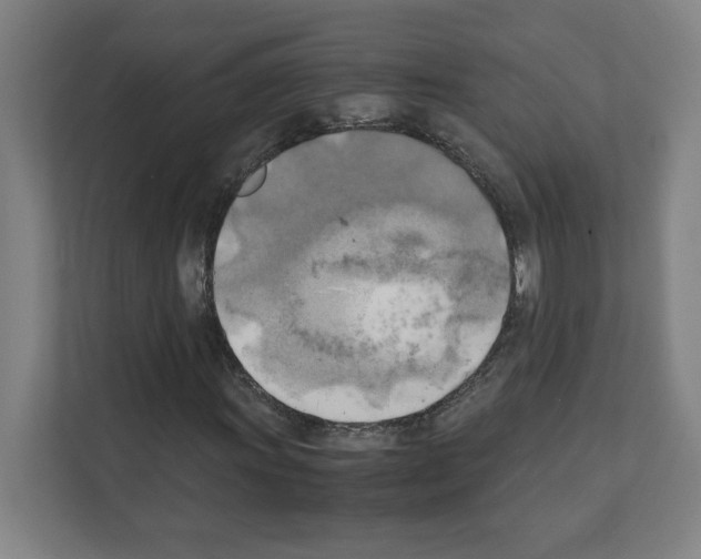 X0000111151011200908111129