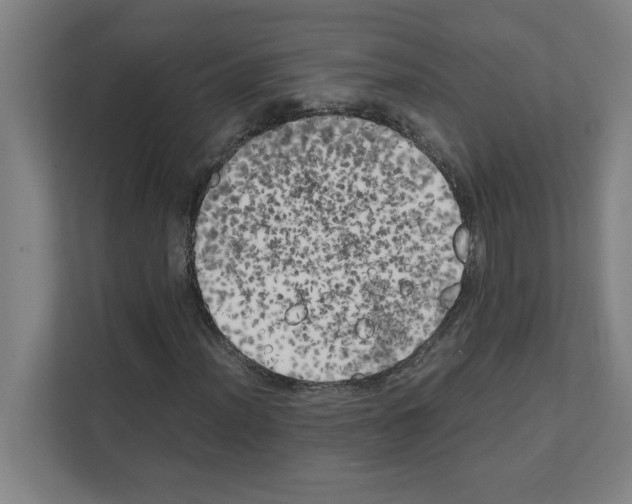 X0000111151012200908111129