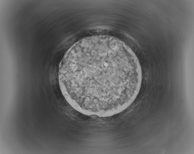 X0000111151014200908111129