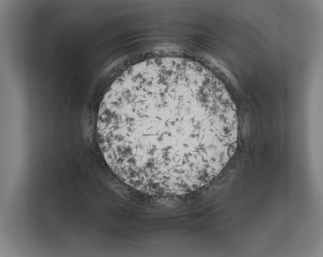 X0000111151015200908111129