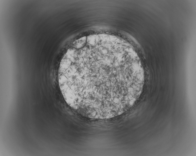 X0000111151016200908111129