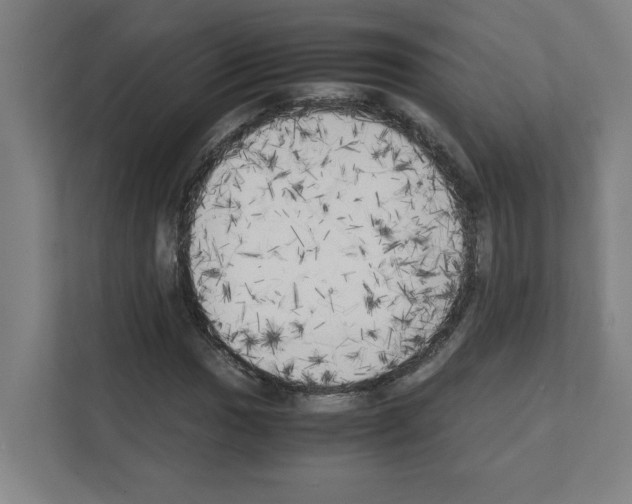 X0000111151017200908111129