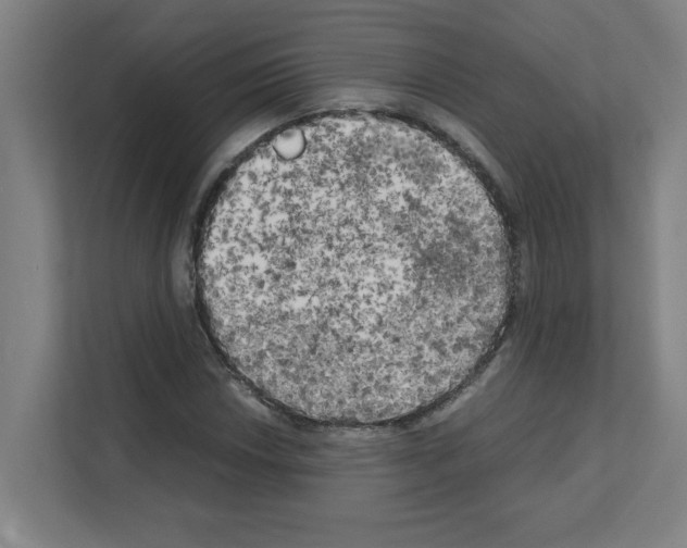 X0000111151018200908111129