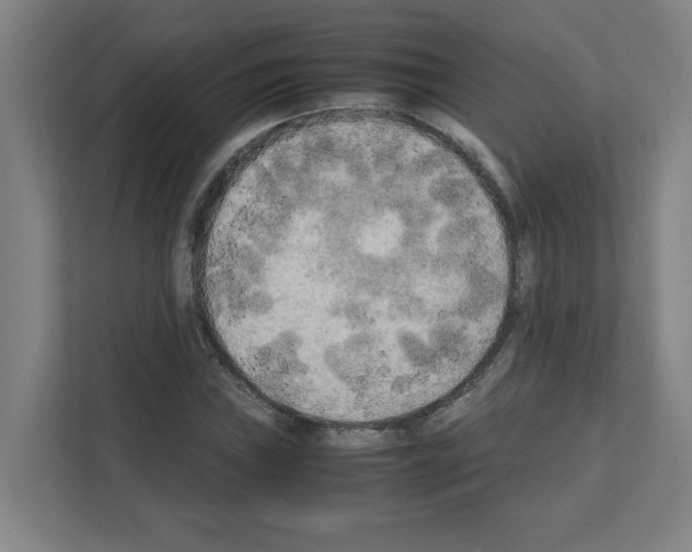 X0000111151019200908111129